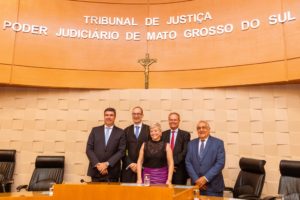POSSE DAS NOVAS DEFENSORAS E DOS NOVOS DEFENSORES PÚBLICOS